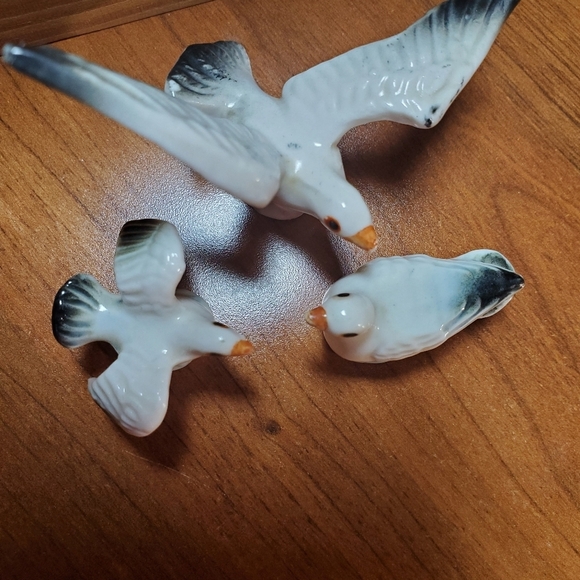 Seagull Collection - Picture 15 of 16